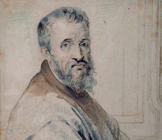 Il volto di Michelangelo Il volto di Michelangelo