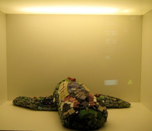 Jovana Tomanovic – Sculture e disegni di pesci tra pesci veri