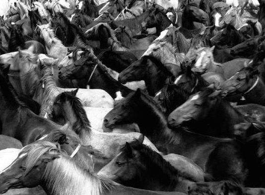 Lorenzo Carlomagno – La Rapa das Bestas