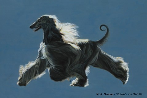 Marie Ange Grabau – Una mostra da cani