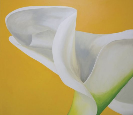 Silvio Pasquarelli  – Callegrafia