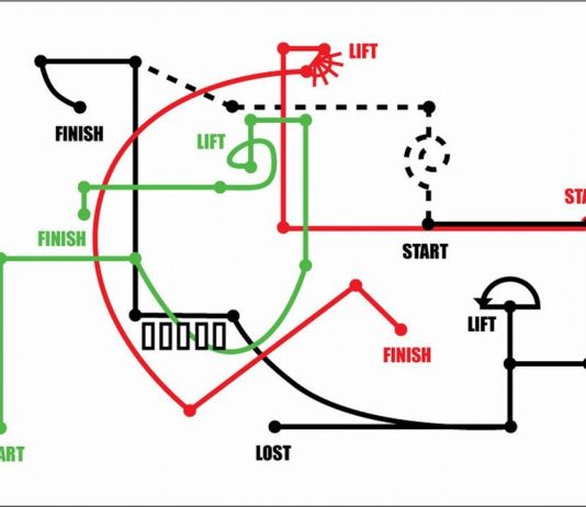 Sonia Brunelli – Bases. Extra-Raum