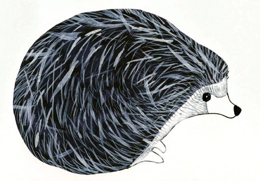 Andrea Guerzoni – L’elogio del riccio