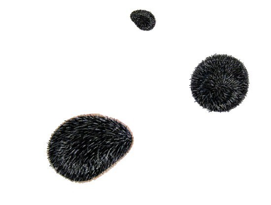 Andrea Guerzoni – L’elogio del ricciohttps://www.exibart.com/repository/media/eventi/2008/05/andrea-guerzoni-8211-l8217elogio-del-riccio.jpg