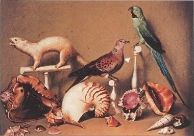 Andrè Martin – Fragments d’une histoire naturelle Andrè Martin – Fragments d’une histoire naturelle