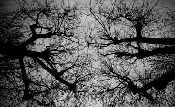 Atra Bilis – Radici nel cielo Atra Bilis – Radici nel cielo