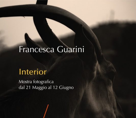 Francesca Guarini – Interior