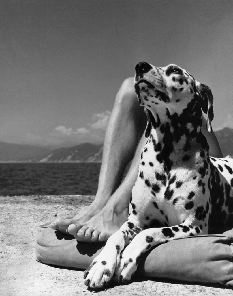Herbert List – Lo sguardo sulla bellezzahttps://www.exibart.com/repository/media/eventi/2008/05/herbert-list-8211-lo-sguardo-sulla-bellezza.jpg
