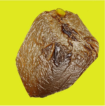 Louis Carosello – RiartEco