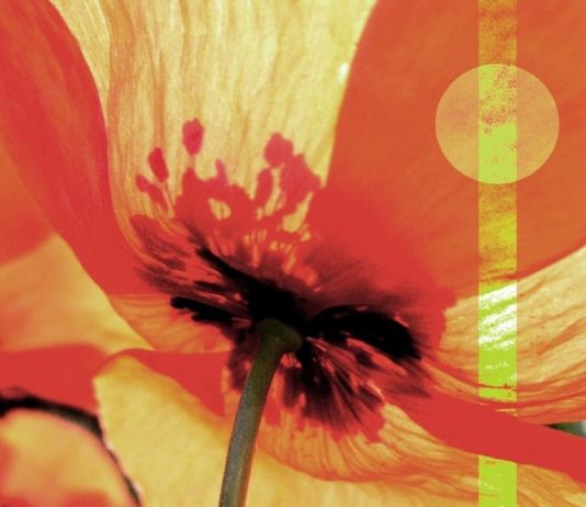 Rita Dollmann / Chiara Nuti Rita Dollmann / Chiara Nuti