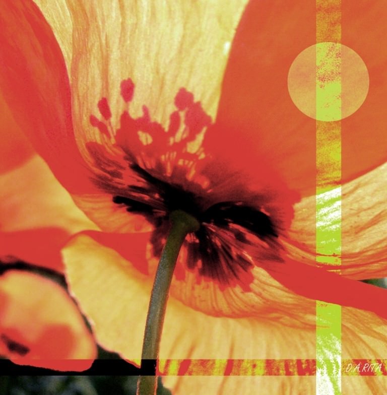 Rita Dollmann / Chiara Nutihttps://www.exibart.com/repository/media/eventi/2008/05/rita-dollmann-chiara-nuti.jpg