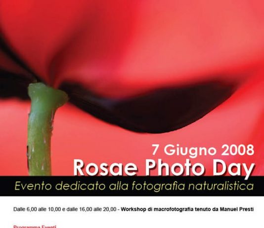 Rosae Photo Day 2008