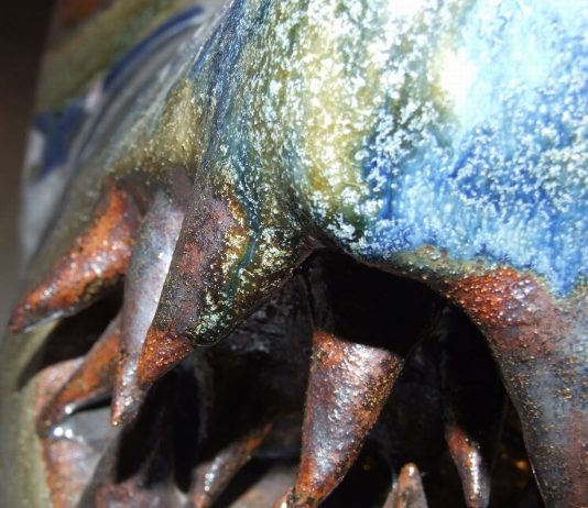 Salvatore Cipolla – Penso e dunque grido