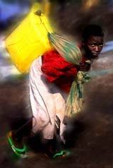 Sheila McKinnon – Invisible Women and the Environment