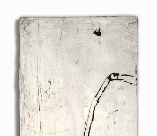 Simona Giova – Finestre