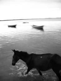 Carmine Fiore – Spiagge (Dubbi al confino)