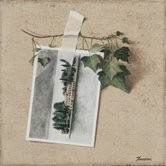 Fabio Inverni – Speculum veritatis. Gioco e poetica di una verità copiata