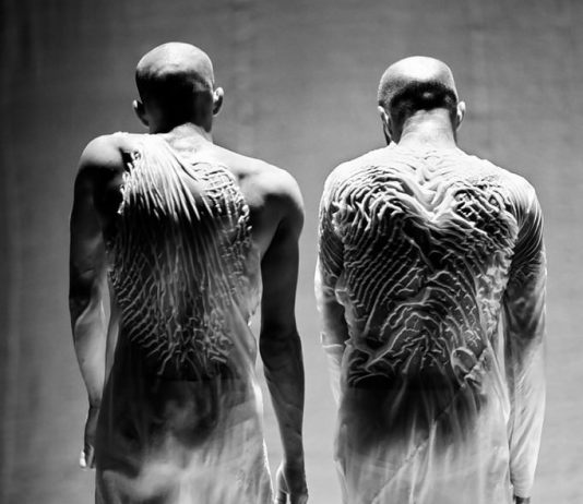 Laurent Ziegler – Forbidden colors. Austrian eyes on Japan