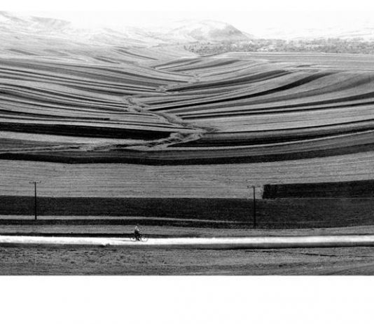 Le strade di Kiarostami