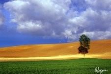 Renato Luparia – I colori del Monferrato