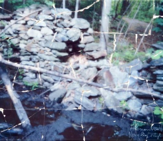 Alessandro Vicario – Ove dicesi a Novella. Sopra la montagna presso Arcegno