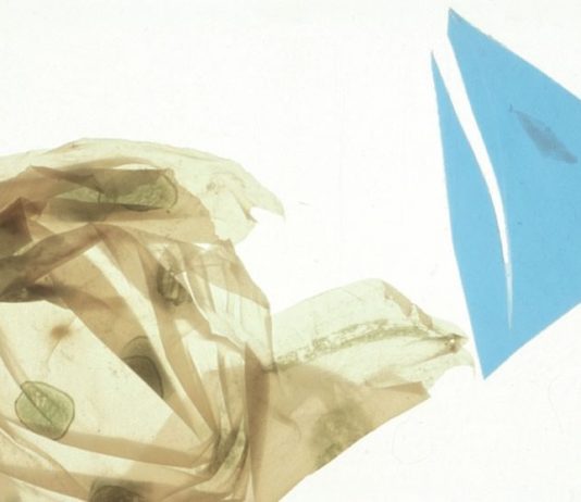 Bruno Munari – Fantasia esatta. I colori della luce