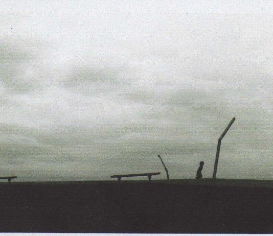 Davide Fantoni – L’estate rubata