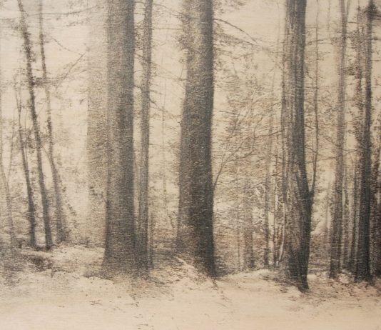 Marika Vicari – Alberi. Segni sulla neve