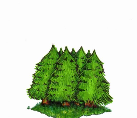 Mateo Rivano – Campin’