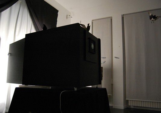 Muriel Prandato – Magiae Naturalis