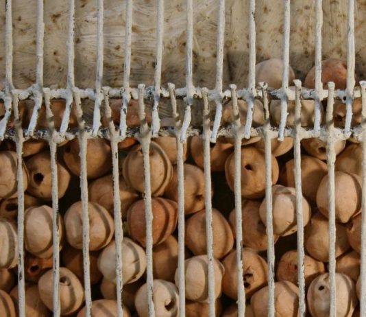 Alfredo Colombo – La terra lega agli altri