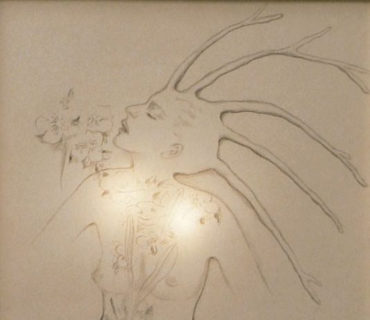 Barbara Giorgis Barbara Giorgis