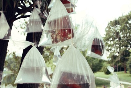 Chiara Bettazzi / Dario Garofalo – Come pesci fuor d’acqua