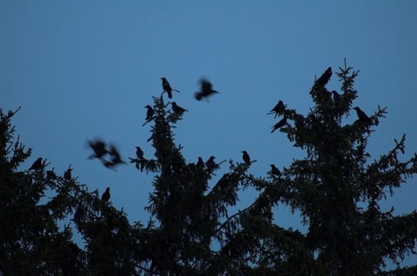 Erica Fenaroli – Dear Darknesshttps://www.exibart.com/repository/media/eventi/2008/08/erica-fenaroli-8211-dear-darkness.jpg