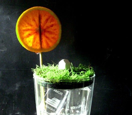 Ilaria Loquenzi – Ricordi Romani