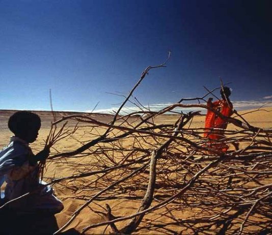 Monika Bulaj – Aure