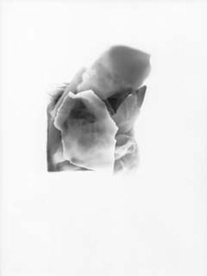 2. Immagini Contemporanee – Alfredo Covino / Pietro D’Agostino