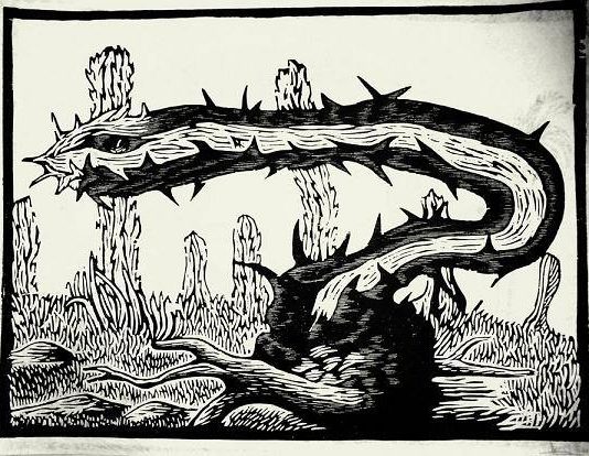 Alejandro Alvarado Carreno / Giulia Corradetti – Cactus. Arena e solitudine