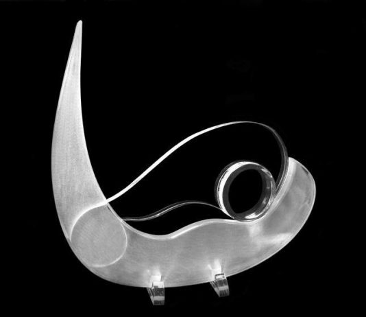 Janja Arnolj – Comunicare la Bellezza