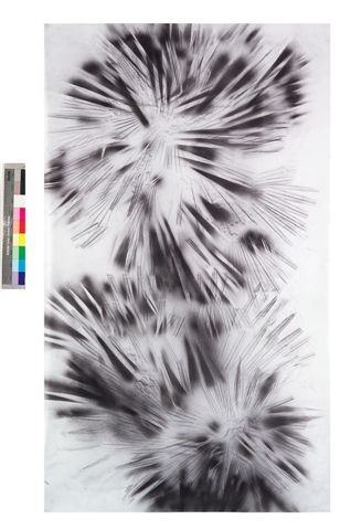 Luce Delhove – Palme selvagge o nonhttps://www.exibart.com/repository/media/eventi/2008/09/luce-delhove-8211-palme-selvagge-o-non.jpg