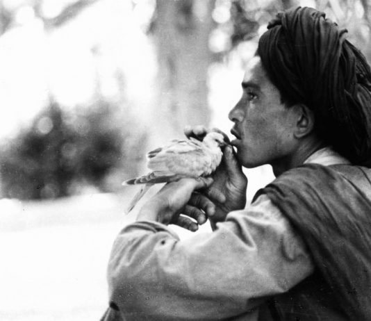 Marilaide Ghigliano – Fotografie