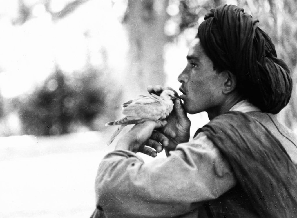 Marilaide Ghigliano – Fotografiehttps://www.exibart.com/repository/media/eventi/2008/09/marilaide-ghigliano-8211-fotografie.jpg