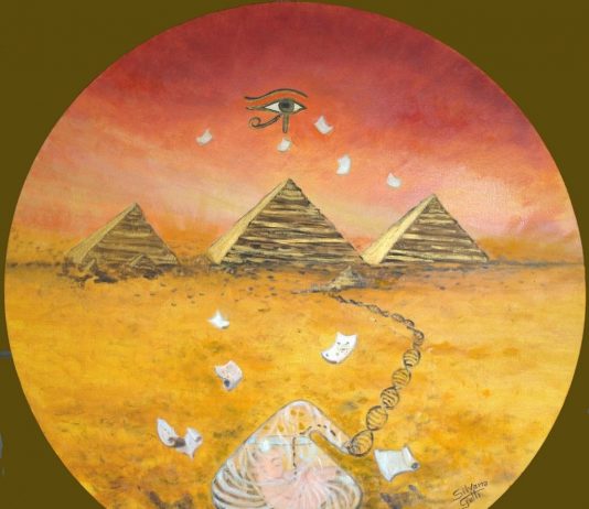 Silvana Gatti – Verso nuovi orizzonti Silvana Gatti – Verso nuovi orizzonti