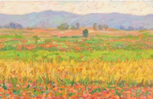 Andrea Canu – Colore, gesto, luce