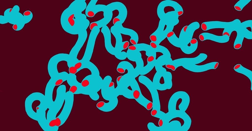 Claudia Cavallaro – Biostrutturehttps://www.exibart.com/repository/media/eventi/2008/10/claudia-cavallaro-8211-biostrutture.jpg