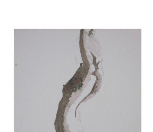 Cristiano & Patrizio Alviti – Vertigo Cristiano & Patrizio Alviti – Vertigo