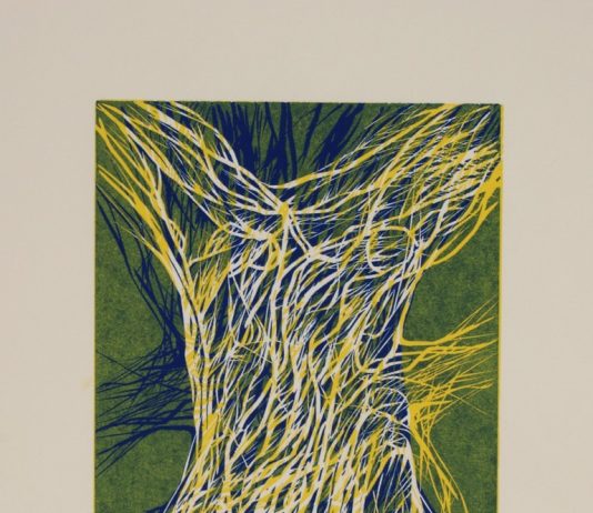 Daniela Frausin – Il segno metamorfico