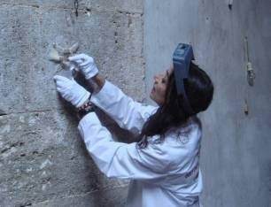 Erickson MuseumofArt (Jema) – LuLu LoLo / Sean Miller Erickson MuseumofArt (Jema) – LuLu LoLo / Sean Miller