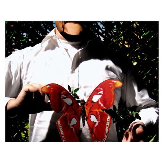 Jasper De Beijer – Selected works Jasper De Beijer – Selected works