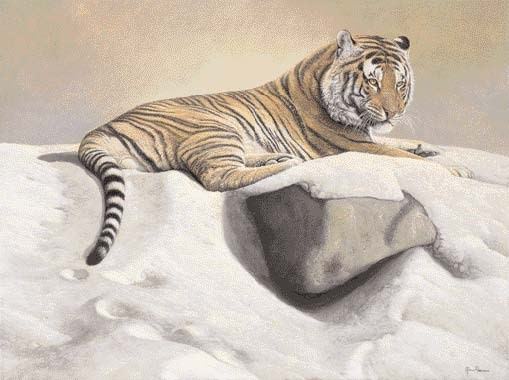 Marco Ramasso – Poetiche della natura